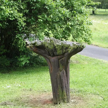 בית הארחה St. Bonifatiuskloster - Geistliches Zentrum Hünfeld